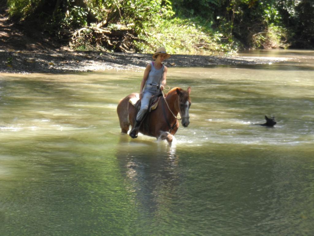 טמבור Fidelito Ranch & Lodge מראה חיצוני תמונה